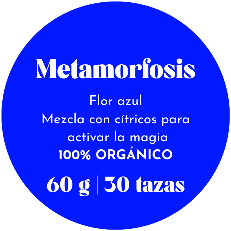 Metamorfosis - Imagen 4